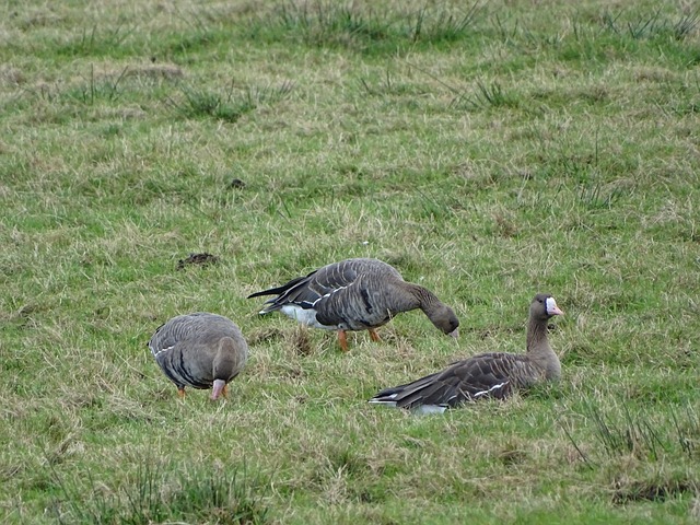 精彩对决 精彩对决