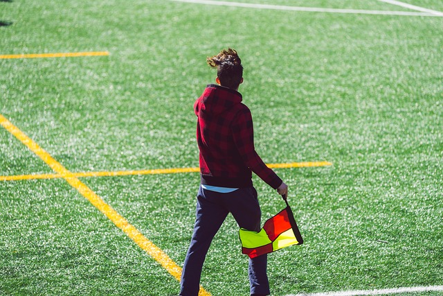 尽管主力球 尽管主力球