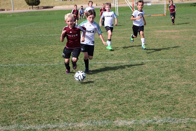 阵去年的冠 阵去年的冠