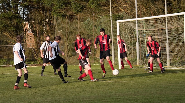 生涯始于一 生涯始于一