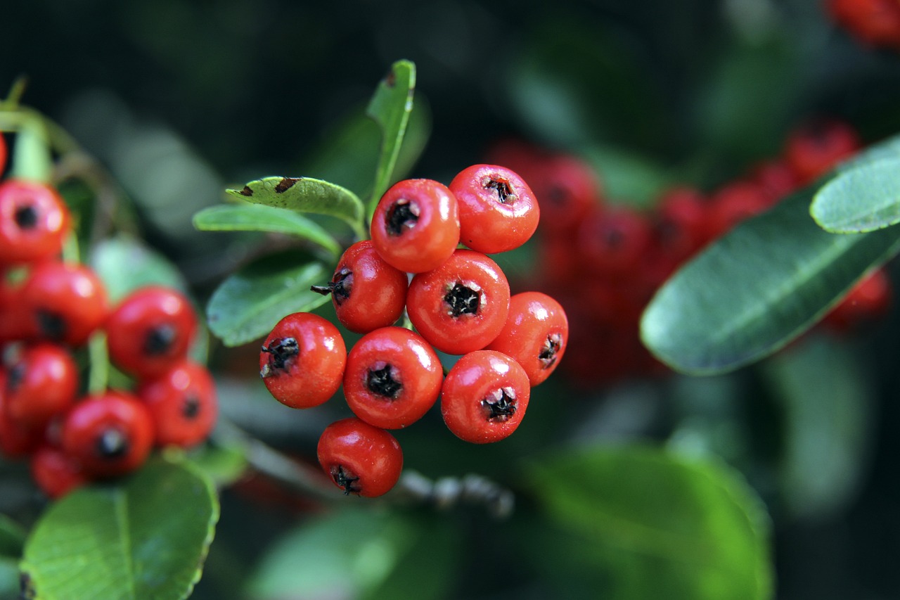 上重拾信心 上重拾信心